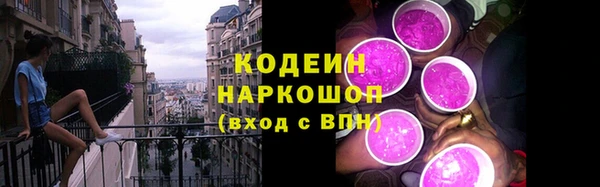 дживик Корсаков