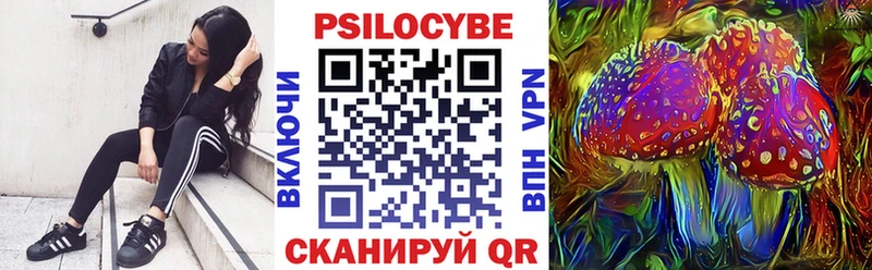 купить наркоту  Терек  Галлюциногенные грибы Cubensis 